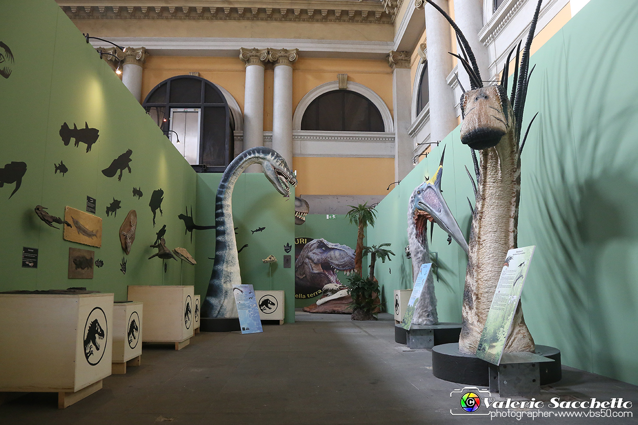 VBS_0851 - Dinosauri. Terra dei giganti.jpg